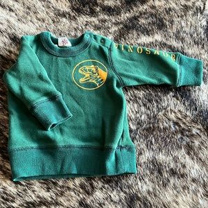 Bit’z Kids Boutique Dinosaur sweatshirt